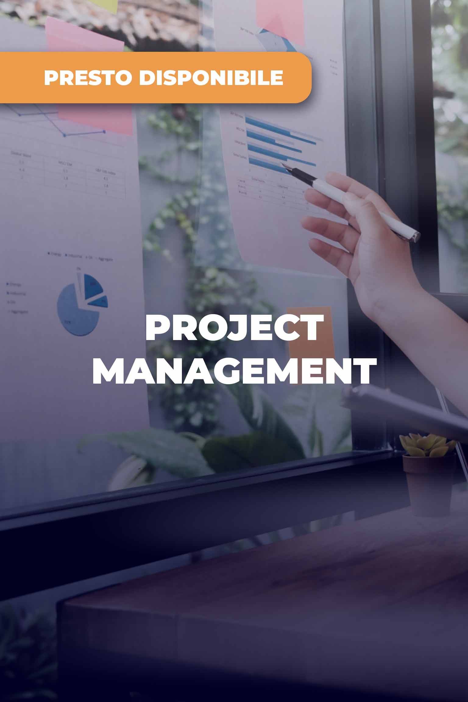 Project Management